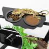 REPTI ZOO Magnetic Gecko Feeding Ledge, Acrylic Aboreal Feeding Ledge