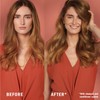 Herbal Essences Biorenew White Grapefruit & Mosa Mint Naked Volume