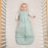 ergoPouch Baby Sleeping Bag Jersey, 8-24 Months, Ideal in Winter