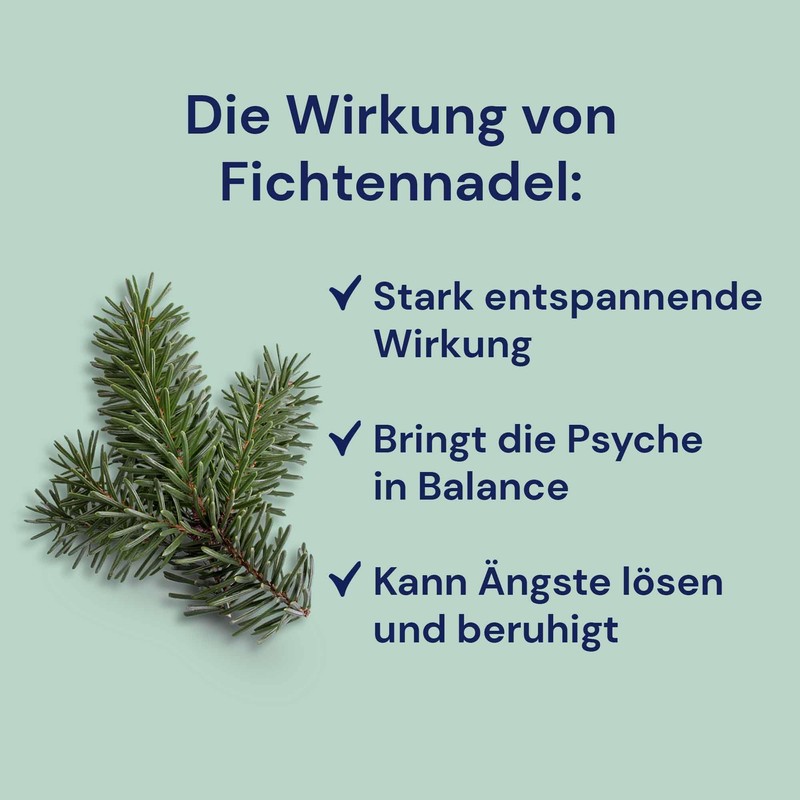 Spitzner Hydro Sauna Infusion Spruce Needle 1 Litre 7802044