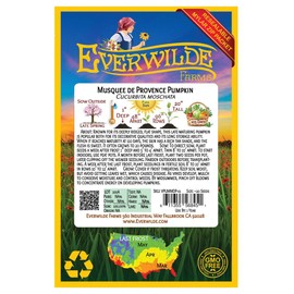 Everwilde Farms - 20 Musquee de Provence Pumpkin Seeds - Gold Vault Jumbo Seed Packet