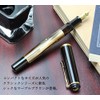 Pelican Fountain Pen EF Ultra Fine Point Marble Brown Classic