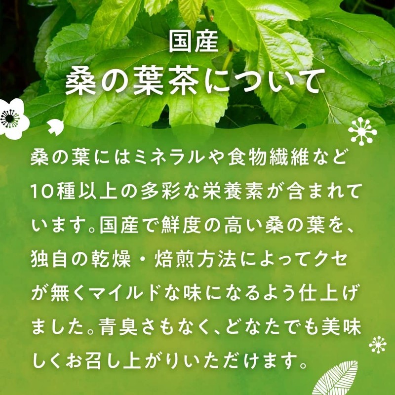 Oshi Saryo Japanese Mulberry Leaf Tea Bag 0.1 oz (3
