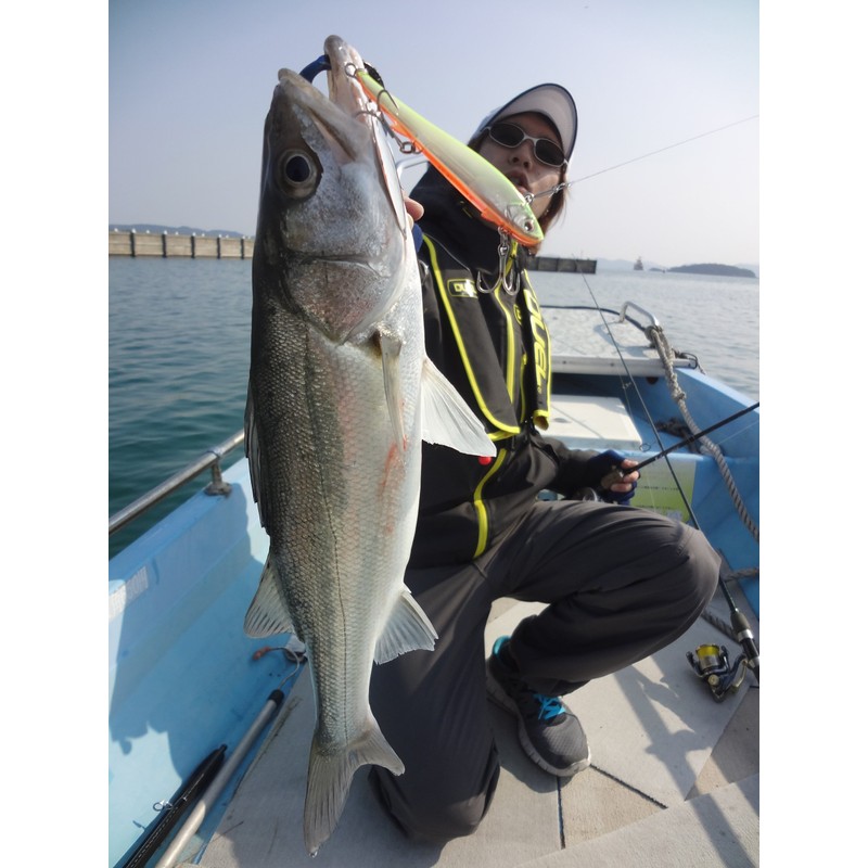 DUEL / hardcore fin tail dart 90 90mm color: HPU