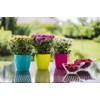 Tymar Pack of 2 Round Shape Planter (Orange, Diameter 18
