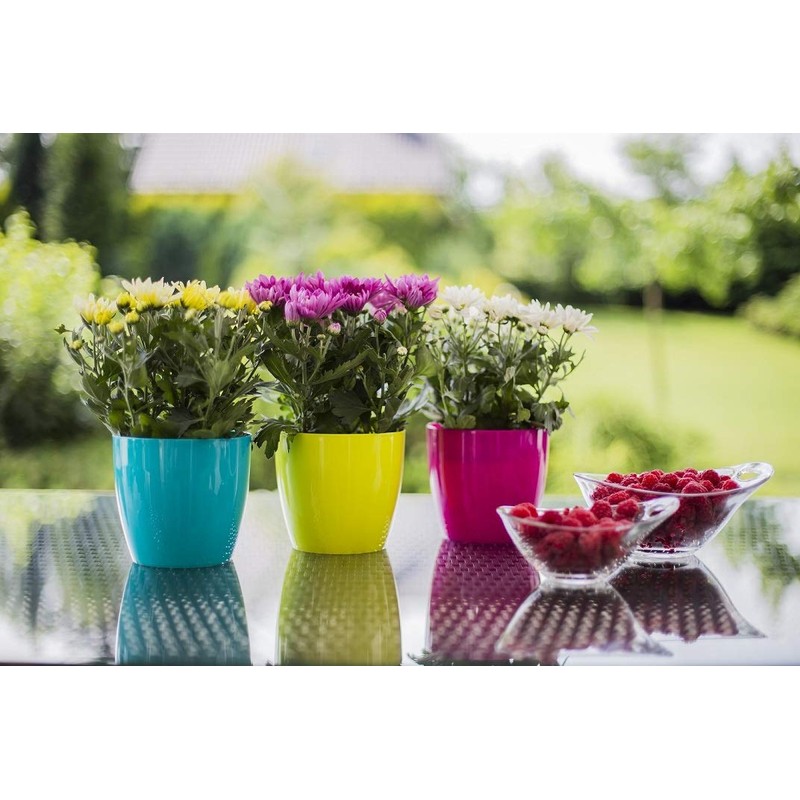 Tymar Pack of 2 Round Shape Planter (Orange, Diameter 18