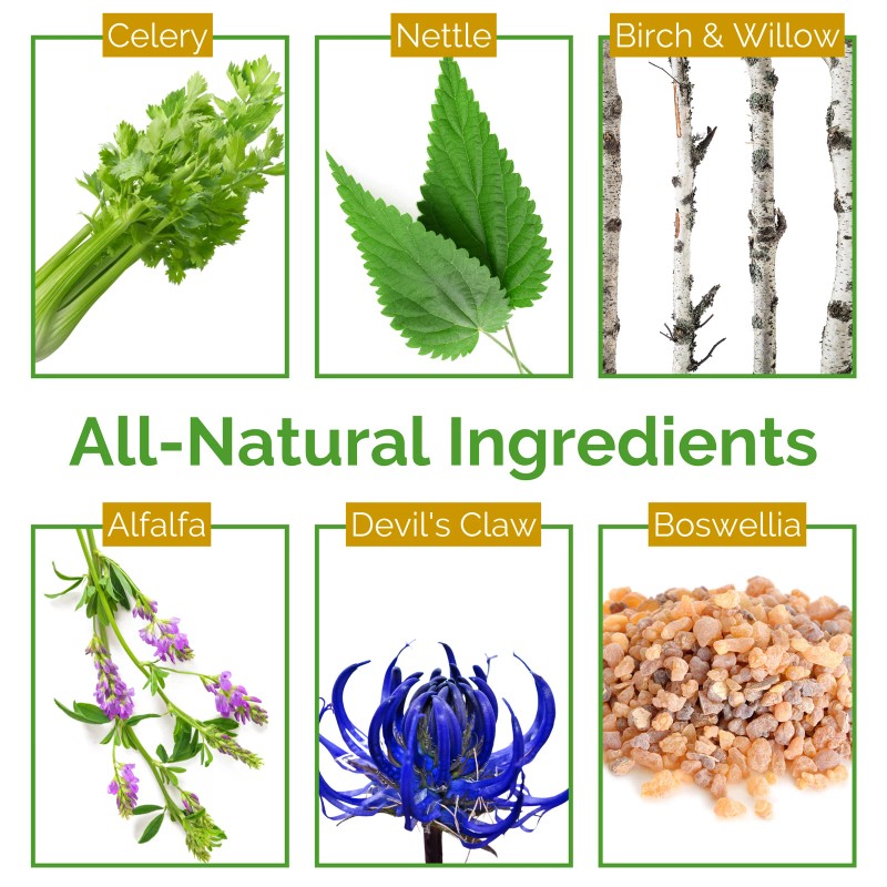 Lifetones Uric Acid Support Liquid Tincture - 3.38 Fl Oz