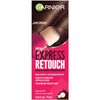 Garnier Hair Color Express Retouch Gray Hair Concealer, Instant Gray