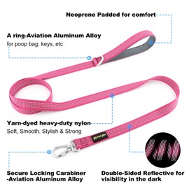 Plutus Pet Heavy Duty Dog Leash with Lockable Aluminum Carabiner, 4/6 Feet Long, Double-Sided Reflective Nylon, Padded Handle, for Puppy, Small, Medium and Large Dogs (Pink, 2.0 x 180cm)