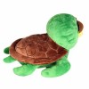 Feisty Pets Louie Ladykiller the Turtle That Turns Feisty with