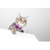 LKYADM Cat Collar with Flower, Small Dog Necklace Puppy Collar