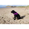 HugglePets Air Mesh Step In Dog Harness - Orange (Medium