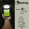 BioPräp Hyaluronic Acid Capsules with MSM | 60 Cellulose Capsules
