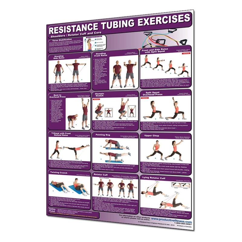 Productive Fitness Poster Series Upper Resistance Tubing Exercises Laminated