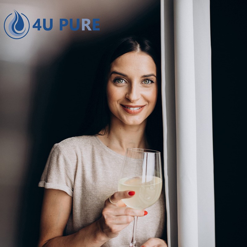 EPTWFU01 Water Filter Replacement, Compatible with Frigidaire EPTWFU01, Рurе Sоurсе