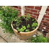 OAKENZ Oak Barrel Planter Liner Kit