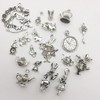 40 PCS Alice in Wonderland Fairy Charms Collection - Antique