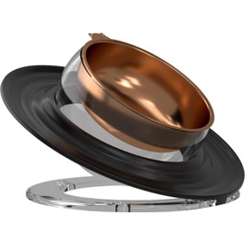 issycozy Elevated pet feeding bowl,Raised food and water bowl for cat and puppy,304 Stainless steel, Adjustable feeding angle,Non-slip, Tilted feeding bowl for cat and small dog,Black color