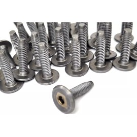 STAFAST PRODUCTS 36 PCS - 1/4"-20 X 1" Low Profile 17mm Head Stafast Joint Connector Bolt