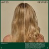 Aveda Botanical Repair Purple Toning Shampoo Fortalece el cabello