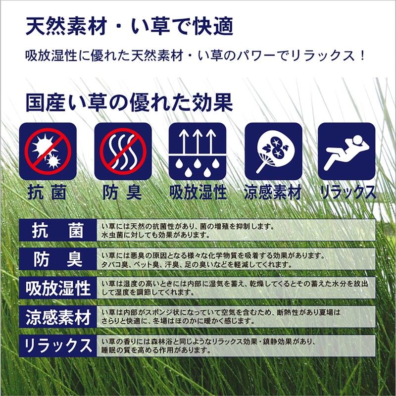 [Made in Japan] Igrass Zabuton Cushion, Earth Green, Approx. 21.7