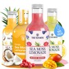 Sea Moss Lemonade Variety Pack – 4 Flavors Sampler: Lemon,