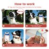 Pawview Puppy Collar and Lead sets with Dog ID Tag