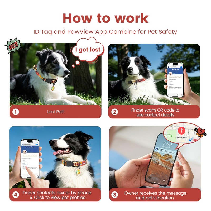 Pawview Puppy Collar and Lead sets with Dog ID Tag