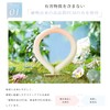 [kakaden] [2025 Latest Cicibella Genuine Product, 28 ℃ Natural Freezing]