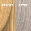 COLORCHARM Permanent Liquid Toners| Neutralize Brass| Free of Parabens| Vegan|