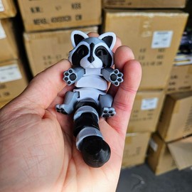 Trash Raccoon, Fox, Panda, Possum, Skunk - 3D Fidget - Collectible Figurine:_Raccoon_Mystery Egg