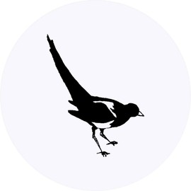 24 x 40mm Round 'Curious Magpie' Stickers (SK00009770)