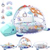 WeeHomm 5-in-1 Baby Play Mat - Baby Play Gym Tummy