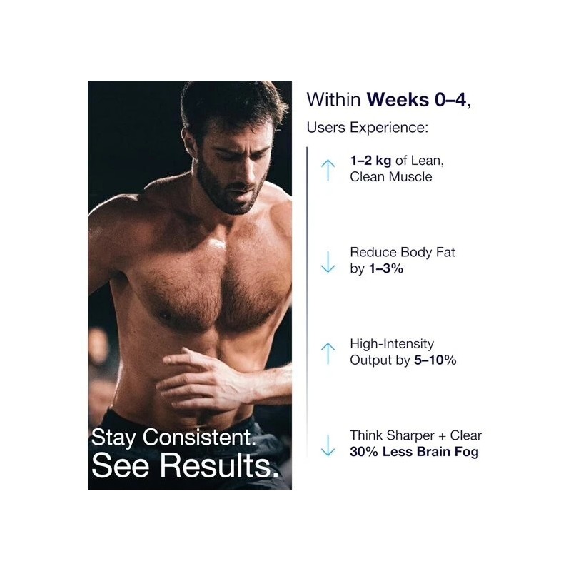 Bear Balanced Creatine Gummies – Blueberry – 90 Ct