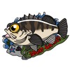 DIA SCALE Fishing Sticker (Meval)