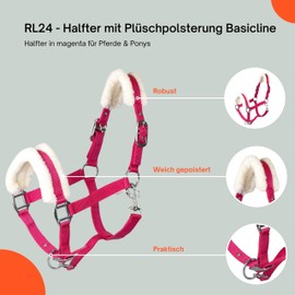 RL24 - Headcollar with Plush Padding Basicline | Halter for Horses & Ponies | Horse Halter with Rivet-Reinforced Clasps & Snap Hook for Opening | Horse Accessories in Magenta | Shetty