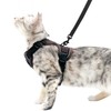 pangdi Cat Harness and Leash Set Escape Proof Tactical Large