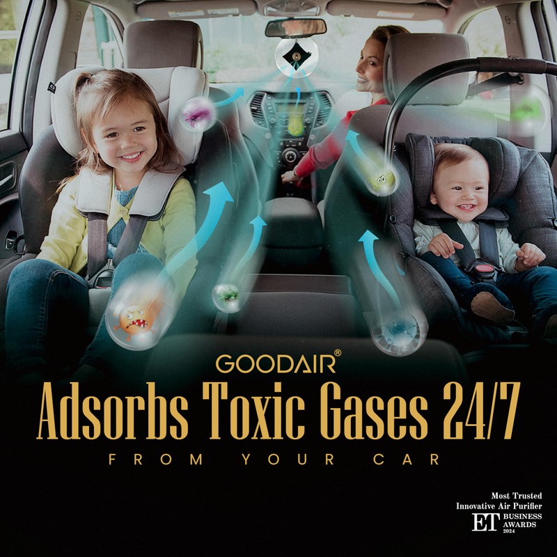 GOODAIR HEPA Car Air Purifier Bag & Pouch | 75g