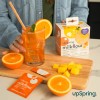 UpSpring MilkFlow Drink Mix Fenugreek & Vitamin C&D for Immune