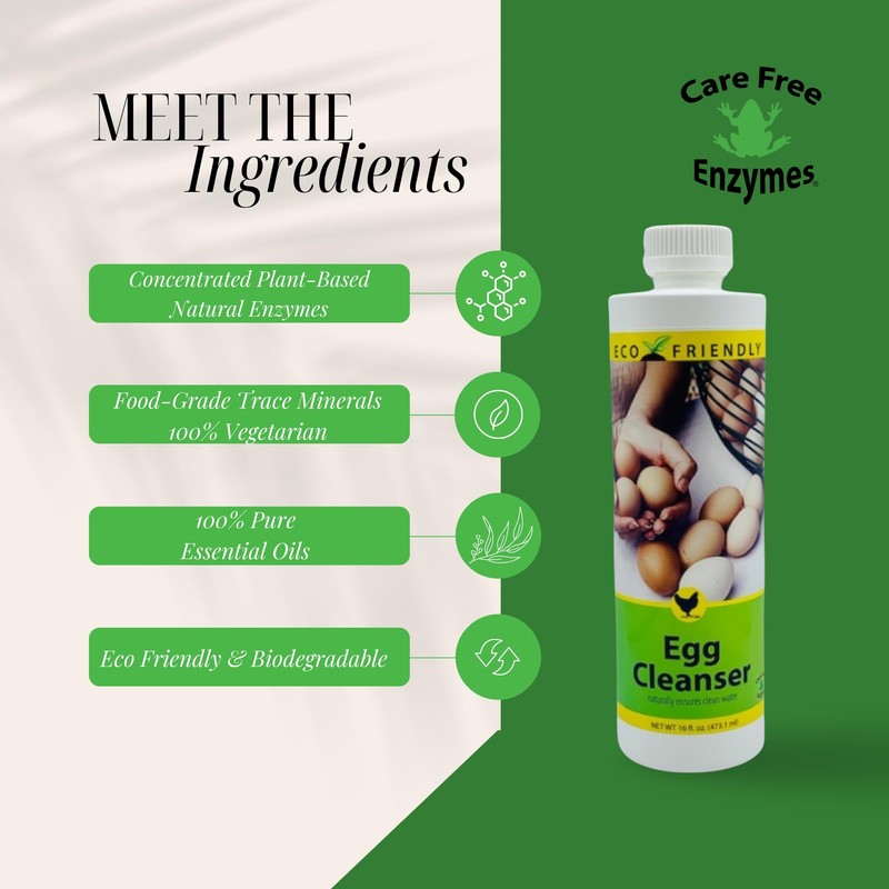 CareFree Enzymes 94177 Cleanser-1 Liter Egg Washing, 33.9 Fl Oz