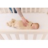 Wallaby Kids Super Soft Large Swaddle (Oatmeal)