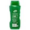 Irish Spring Body Wash, Original, 18 Fluid Ounce (Pack of