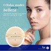 Terramar Sistema Anti Edad Células Madre Manzana Terramar