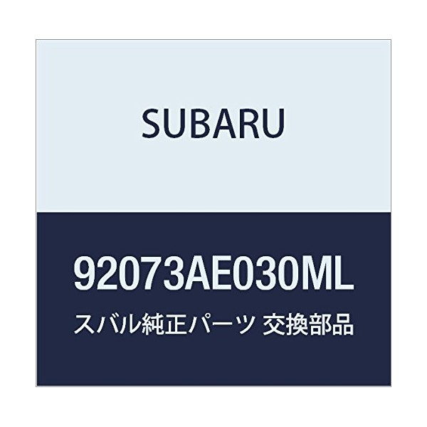 Subaru Genuine Parts Kyatsup Assist Rail B Legacy B4 4D