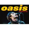 Oasis, Knebworth 1996, Noel Gallagher Poster 24x36