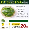 Persimmon Leaf Tea Made in Japan, Far Infrared Roasting, Decaffeinated