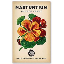 The Little Veggie Patch Co Edible Flwrs Nasturtium Heirloom Seeds, 1 pack