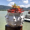 Multi-Face Succulent Planter Vase Small Face Plante Head Face Vase