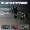 Doglay Dog Life Vest, Dog Life Jacket with Double Rescue