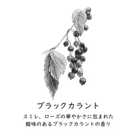 GRASSE TOKYO Paper Incense Blackcurrant Silver 15 Count (x1)